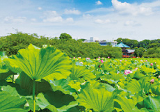 上野