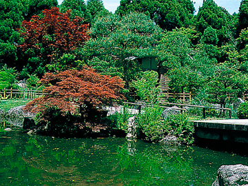 遍照院