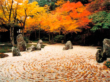 光明禅寺