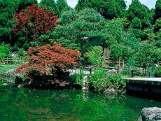 遍照院