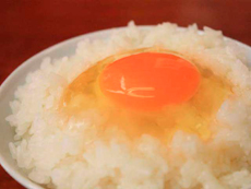 つまんでご卵直売店にぎやかな春