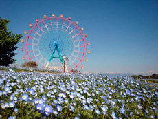 海の中道海浜公園