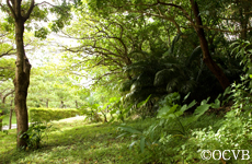 首里城公園