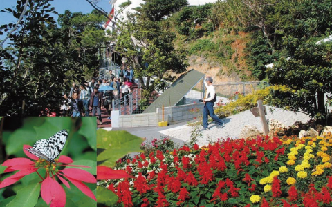 琉宮城・蝶々園
