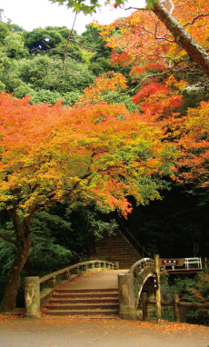 箕面の大滝（箕面公園） 图像