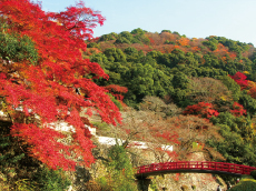 箕面の大滝（箕面公園） 图像