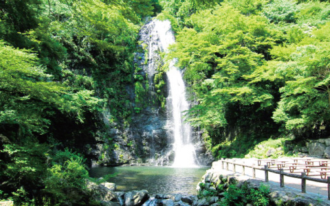 箕面の大滝（箕面公園） 图像