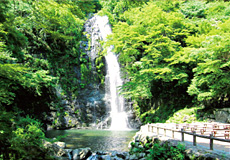 箕面の大滝（箕面公園）