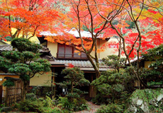 一汁二菜うえの箕面店